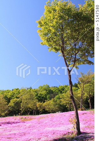 滝上公園 5147580