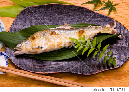 鮎の塩焼き 鮎の塩焼き 5148731