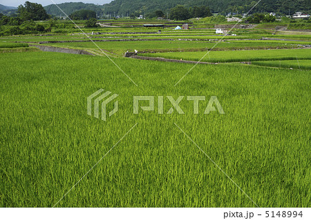 農村 農村 5148994