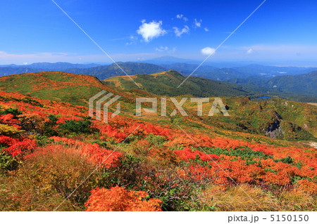 神の絨毯　日本一美しい山岳紅葉で知られる花の百名山、栗駒山（須川岳） 5150150