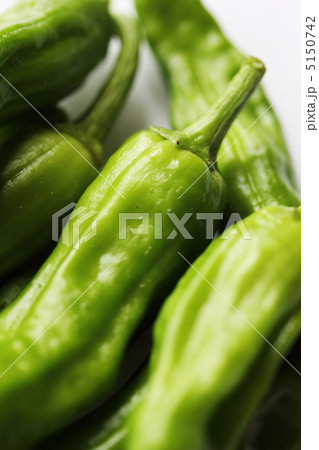 シシトウ 5150742