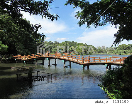 洗足池と池月橋 5151199