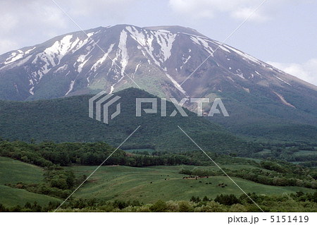 イーハトーブ・春子谷地から岩手山を望む 5151419