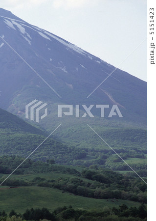 イーハトーブ・春子谷地からの岩手山の斜面 5151423