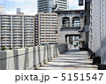 橋を渡る 5151547