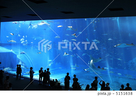 沖縄美ら海水族館 沖縄美ら海水族館 5151638