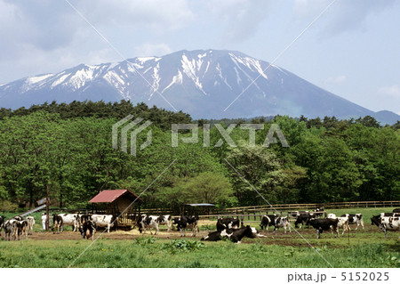 岩手山・小岩井農場にて 5152025
