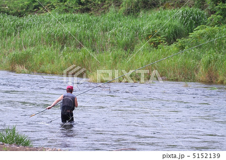 鮎の友釣り 鮎の友釣り 5152139