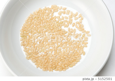 玄米 5152501