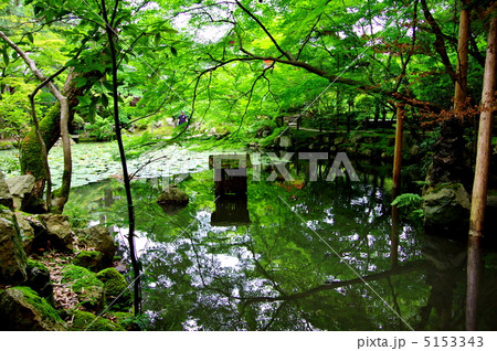 南禅寺天授庵の庭 5153343