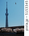 スカイツリー 5153345