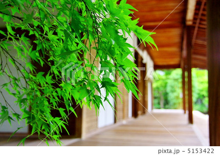 南禅寺天授庵 5153422