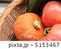 ミニカボチャ栗坊 5153467