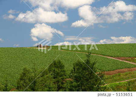 豆畑 豆畑 5153651