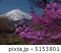 ミツバツツジ 富士山 5153801