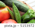 夏野菜オクラ 5153972