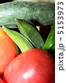 夏野菜オクラ 5153973