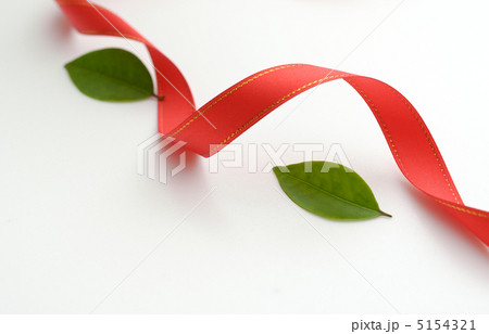 リボンと木の葉 リボンと木の葉 5154321
