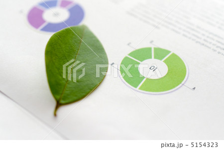 円グラフと木葉 5154323