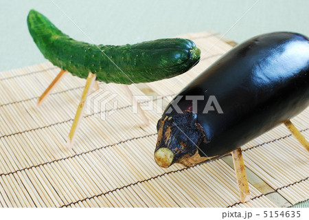 精霊馬 精霊馬 5154635