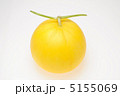 メロン・カナリアン 5155069