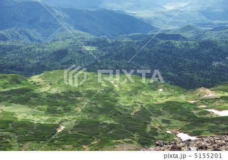 森林限界(旭岳) 森林限界(旭岳) 5155201