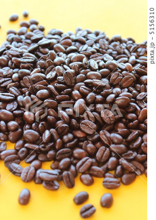コーヒー豆 コーヒー豆 5156310