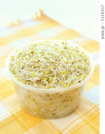 アルファルファ 5156317