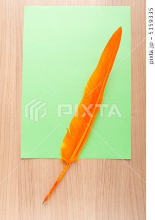 Paper and feather in vintage writing concept 5159335