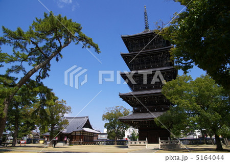 善通寺の五重塔と釈迦堂(香川県善通寺市) 善通寺の五重塔と釈迦堂(香川県善通寺市) 5164044