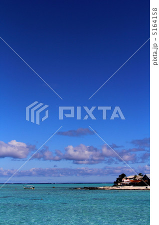 タヒチ タヒチ 5164158