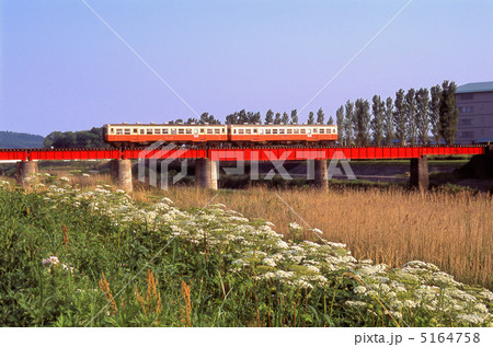 ハナウドの咲く土手から-小湊鉄道 5164758