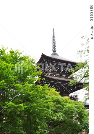 飛騨国分寺 飛騨国分寺 5165386
