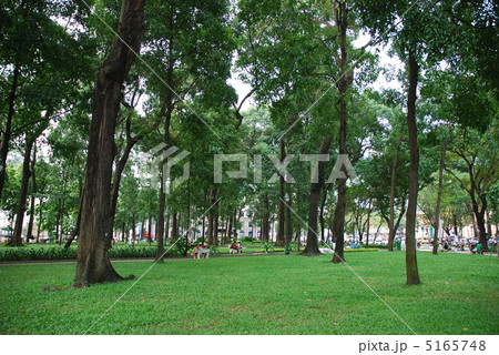ホーチミン統一会堂前の公園 5165748