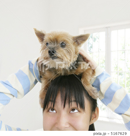 犬を頭にのせた女の子 5167629