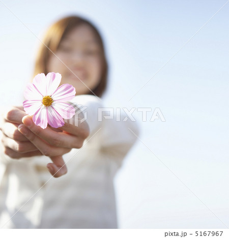 コスモスの花を持つ女性の手元 5167967