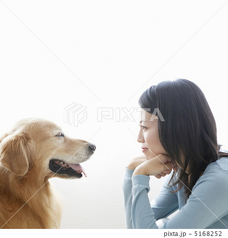 見つめ合う女性とゴールデンレトリバー 5168252