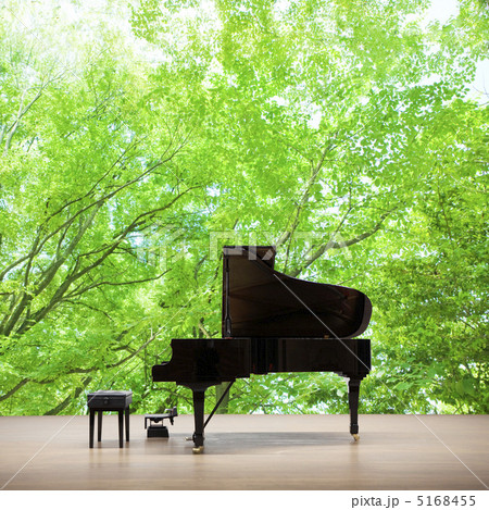 新緑とグランドピアノ 5168455