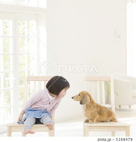 椅子に座る女の子と犬の写真素材