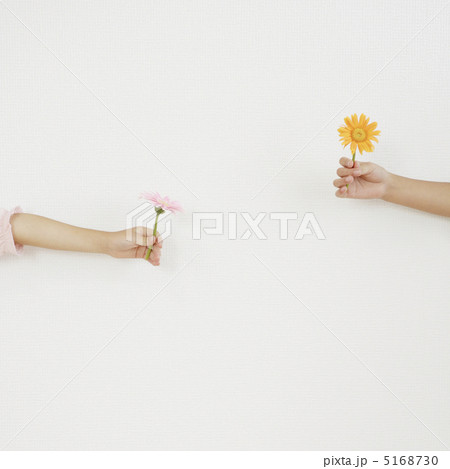 花を持つ手 花を持つ手 5168730