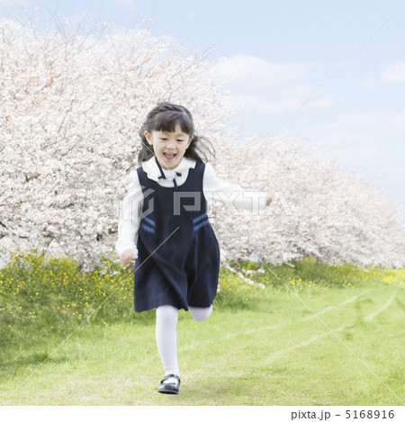 桜の並木道を走る女の子 5168916
