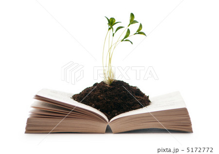 Knowledge concept with books and seedlings Knowledge concept with books and seedlings 5172772