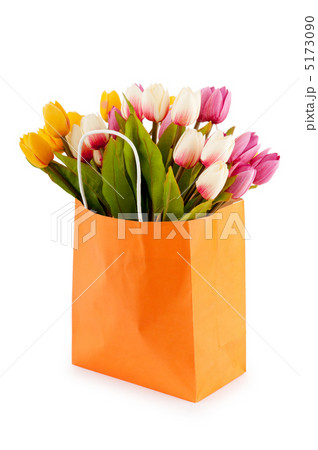 Tulips in the bag isolated on white Tulips in the bag isolated on white 5173090
