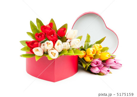 Giftbox and tulips isolated on white 5175159