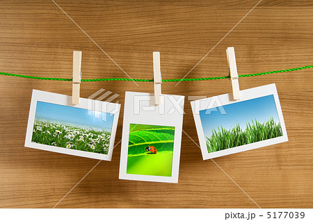 Nature photos in picture frames 5177039