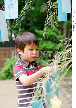 七夕の笹飾りと子供の写真素材 517