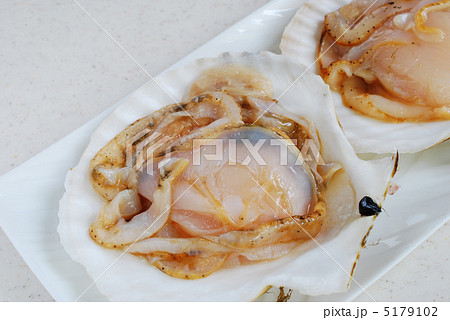 生の殻付きホタテ貝 5179102