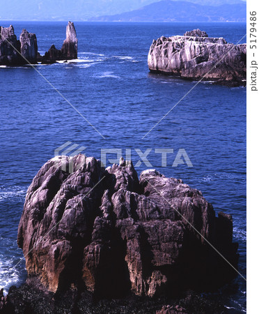 唐桑半島の春 5179486