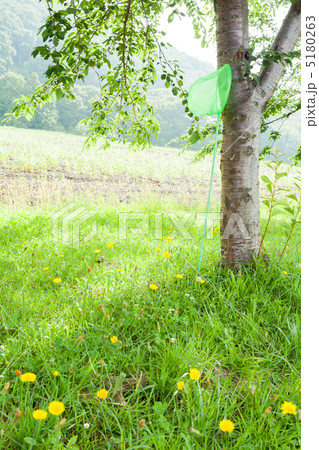 朝の牧場 5180263