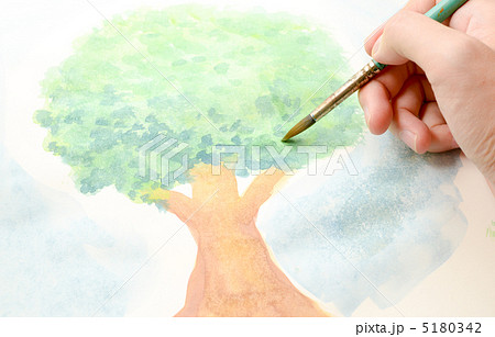 木の絵を描くの写真素材